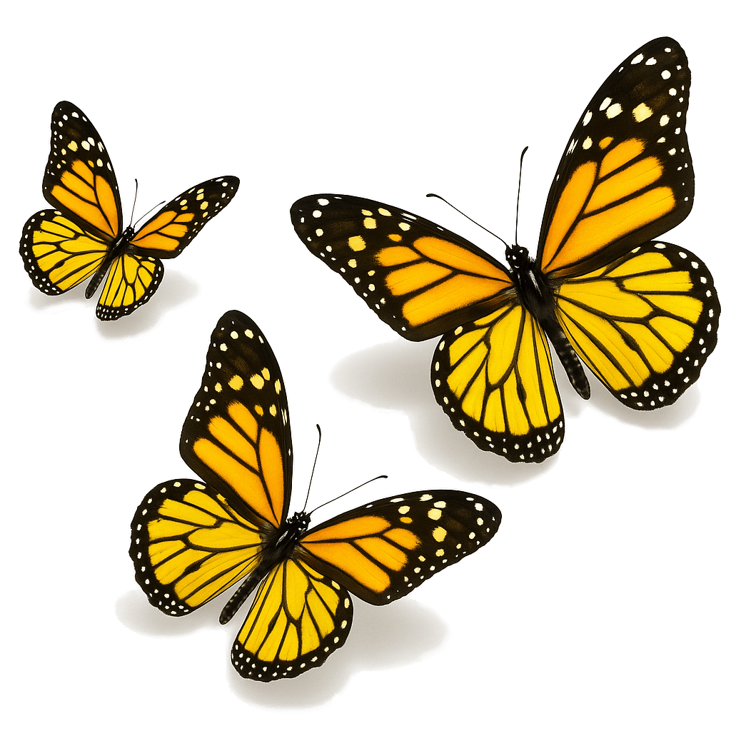 geometrische Formen links